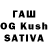 Псилоцибиновые грибы GOLDEN TEACHER Murad Kaichakaev