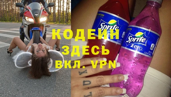 ГАЛЛЮЦИНОГЕННЫЕ ГРИБЫ Верея