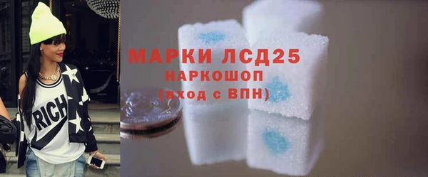 ГАЛЛЮЦИНОГЕННЫЕ ГРИБЫ Верея