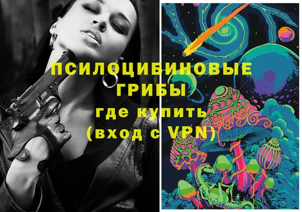 ГАЛЛЮЦИНОГЕННЫЕ ГРИБЫ Верея
