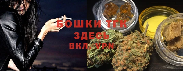 ГАЛЛЮЦИНОГЕННЫЕ ГРИБЫ Верея