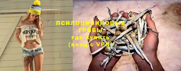 ГАЛЛЮЦИНОГЕННЫЕ ГРИБЫ Верея