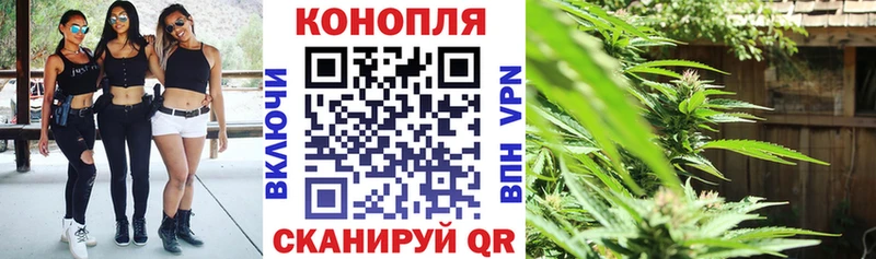 Шишки марихуана Amnesia Вичуга